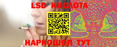 spice Донецк