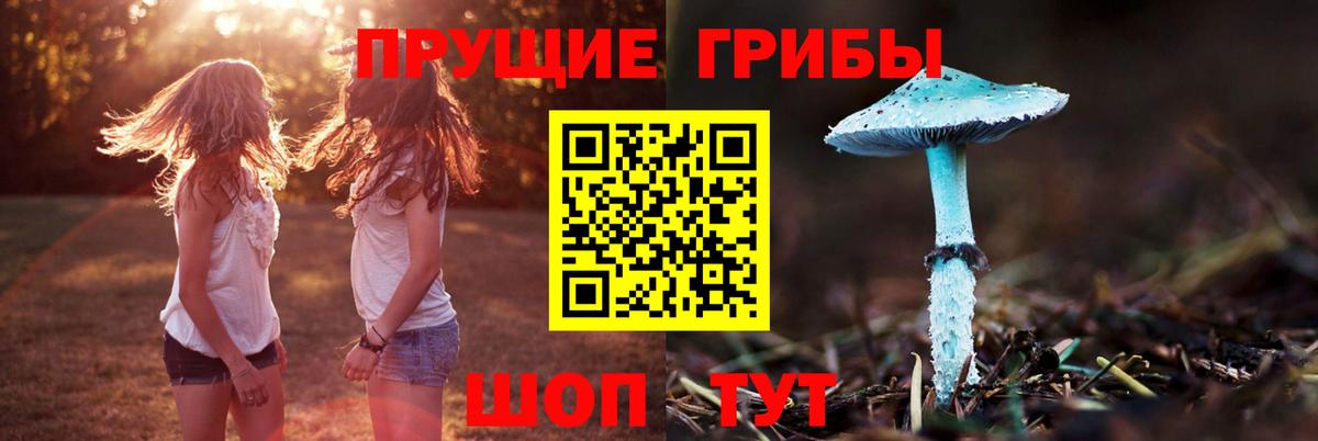 Псилоцибиновые грибы MAGIC MUSHROOMS Холмск