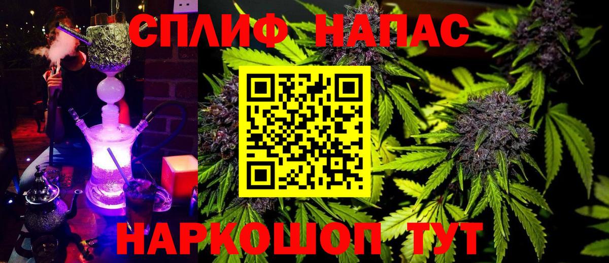 Бошки Шишки планчик Холмск